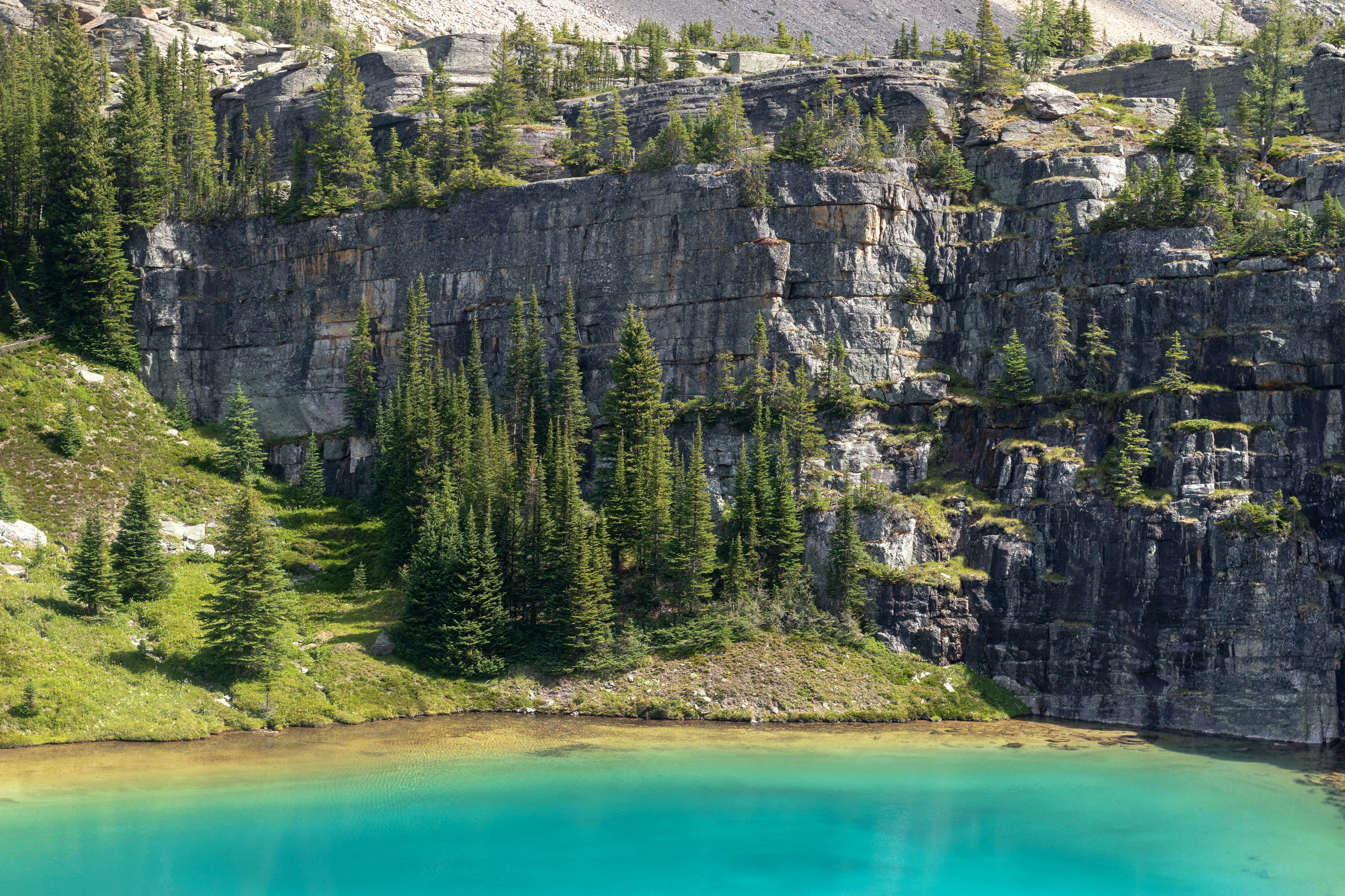 trees near body of water, Blue shores