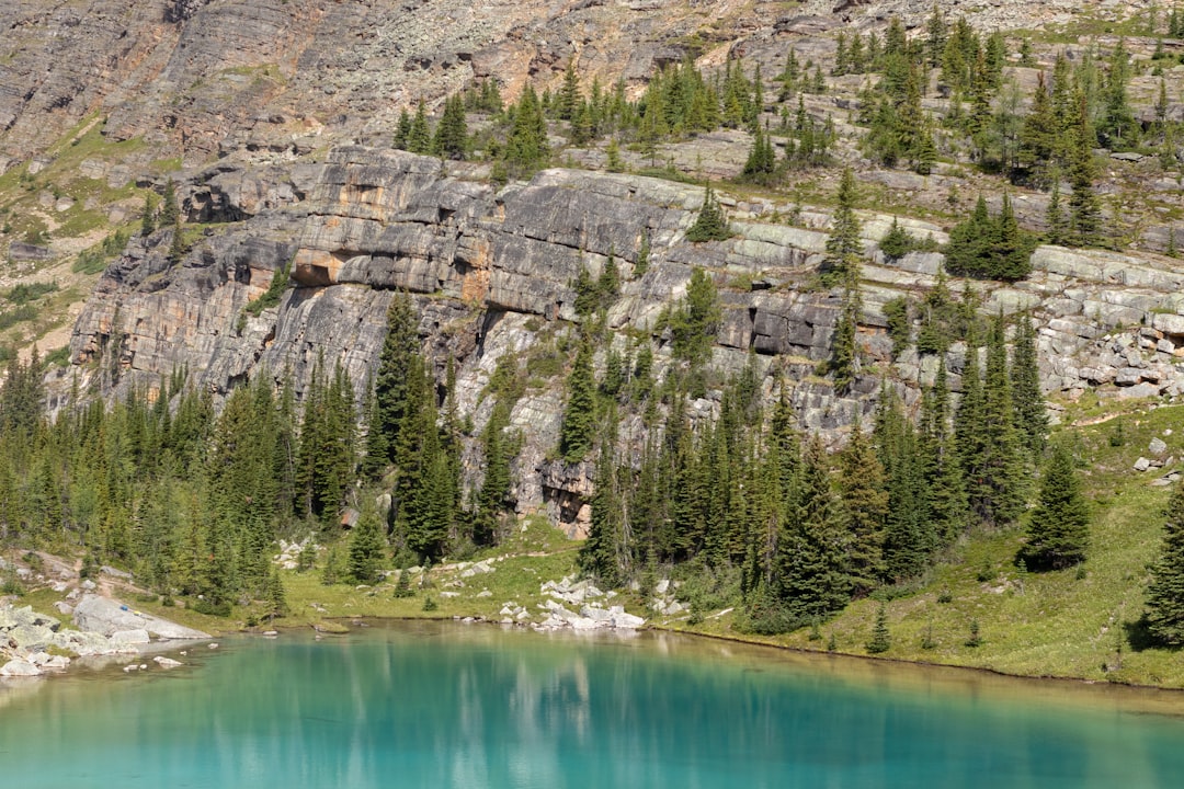 aerial view photography of lake near green trees, Hikers delight