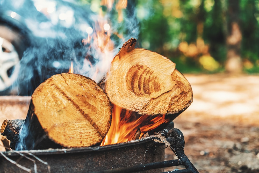 selected focus photography of two firewood on fire