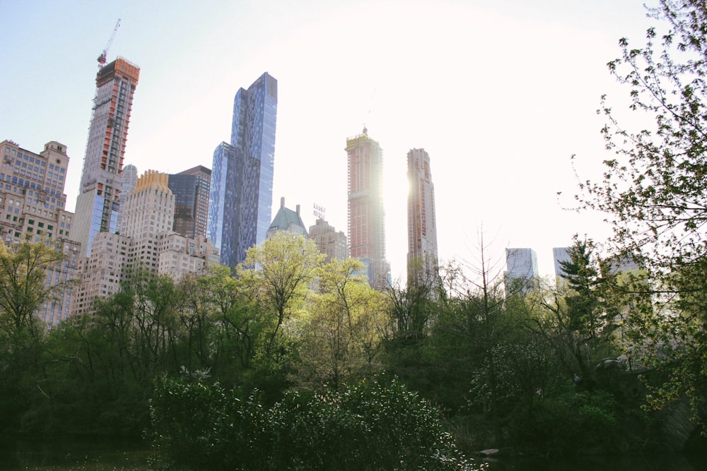 low-angle photography of high-rise buildings