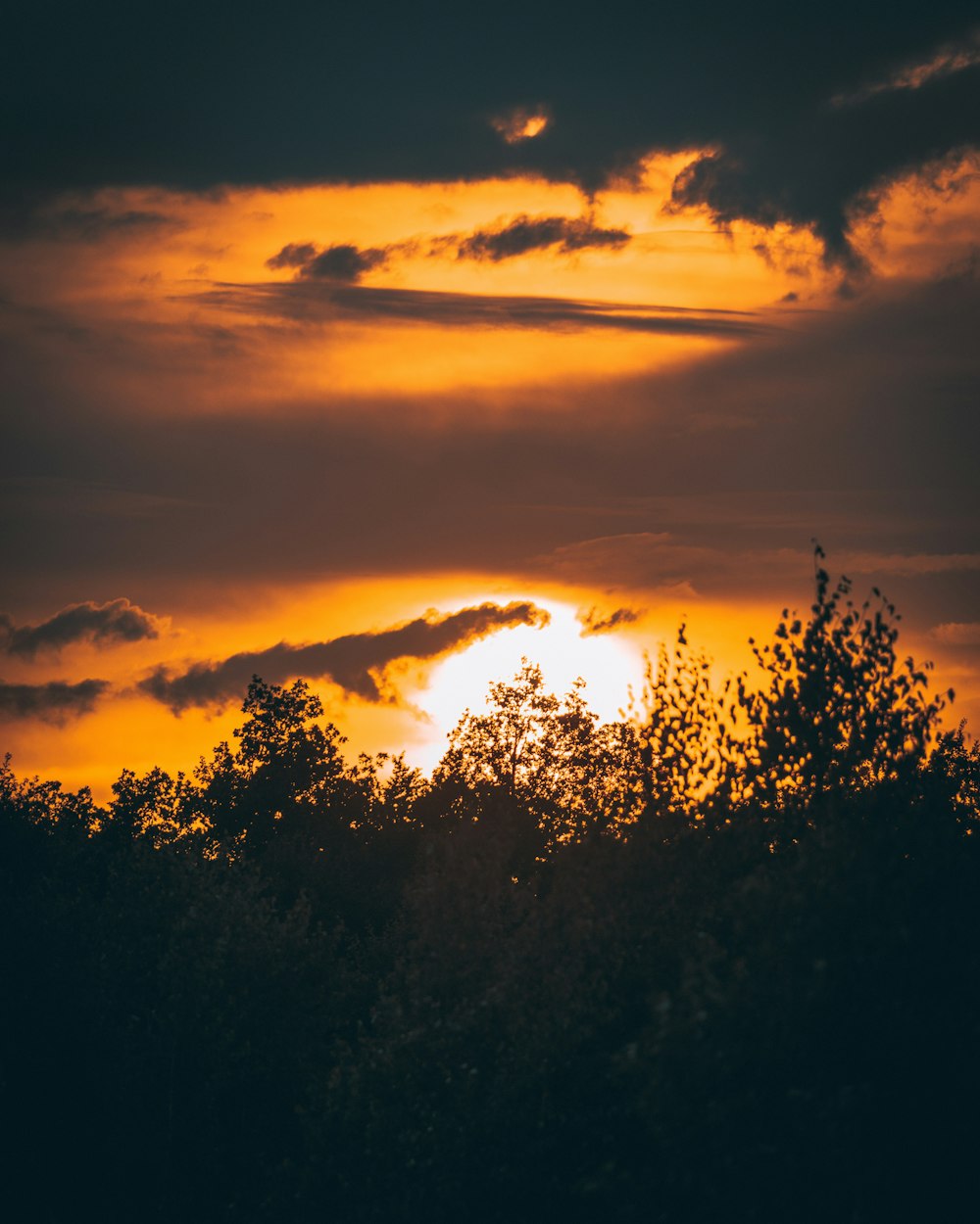 landscape photo of sunset view