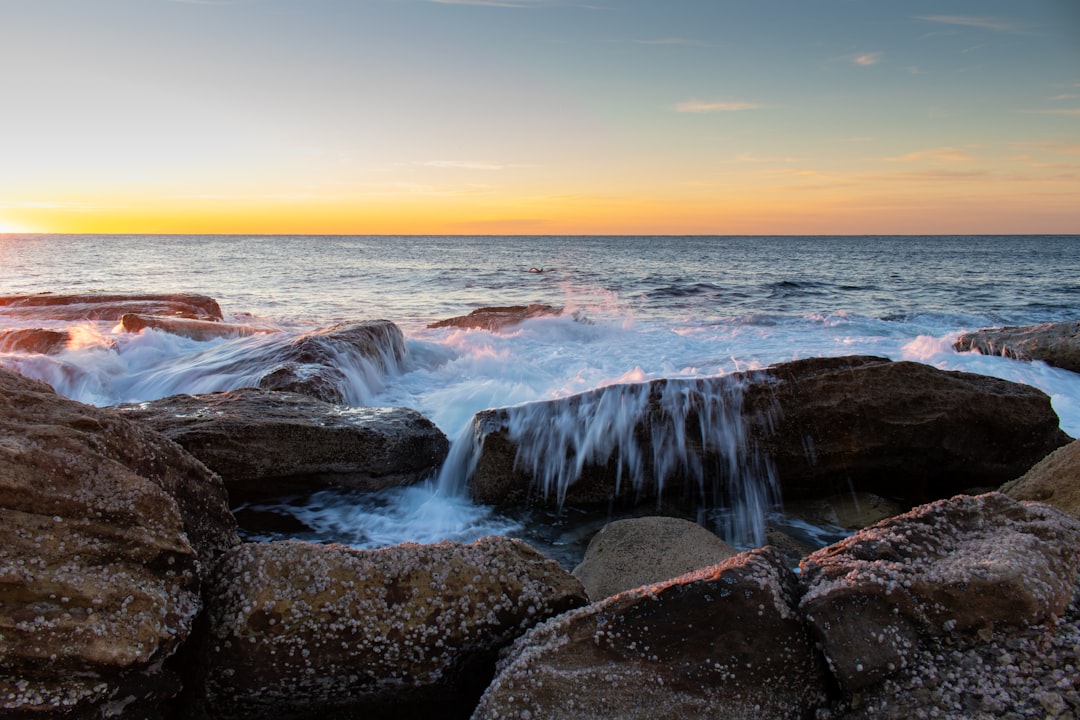 Shore photo spot Coogee Beach Bronte