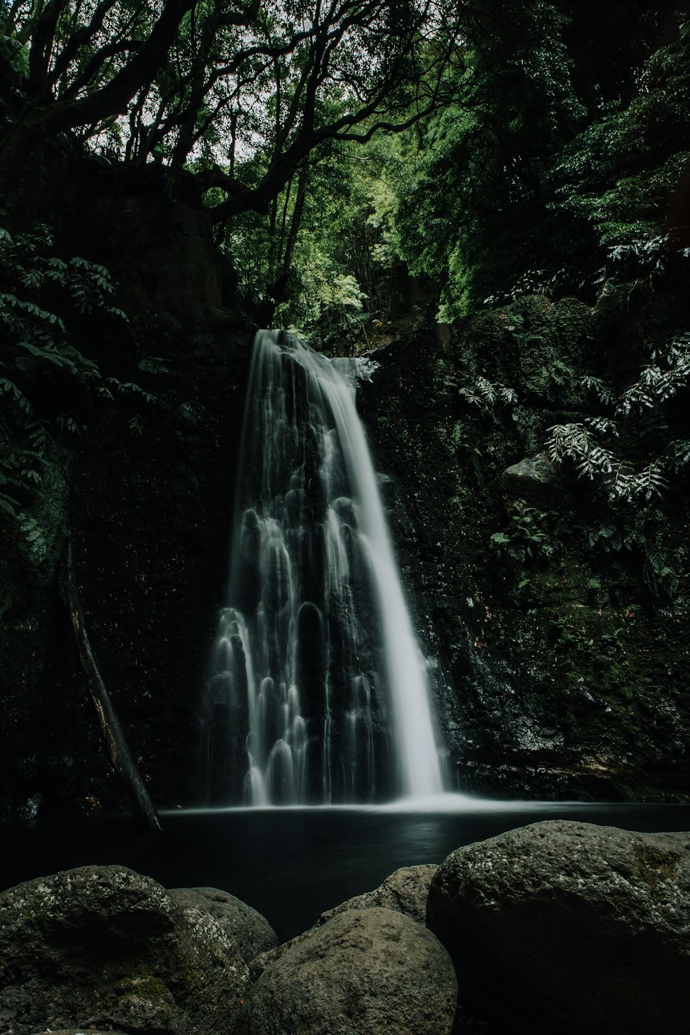 waterfalls surrounded by trees