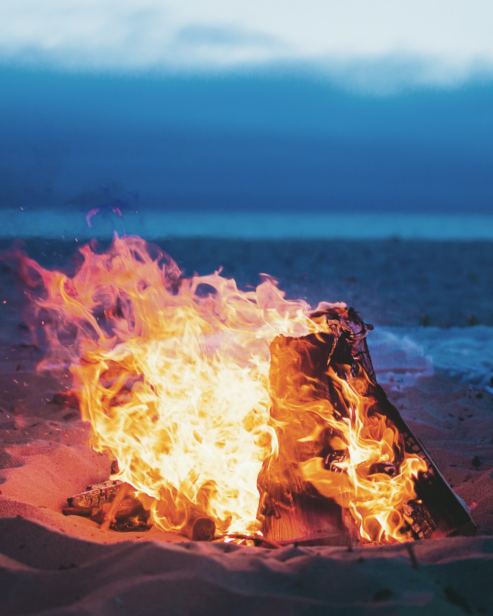 海岸近くの燃え盛る焚き火