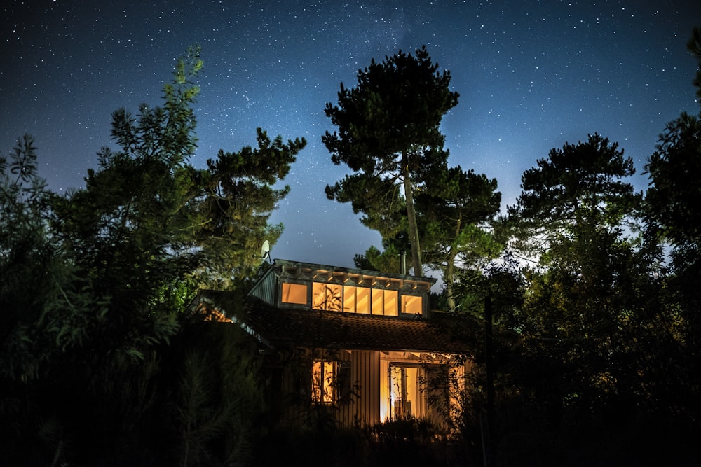 house in forest