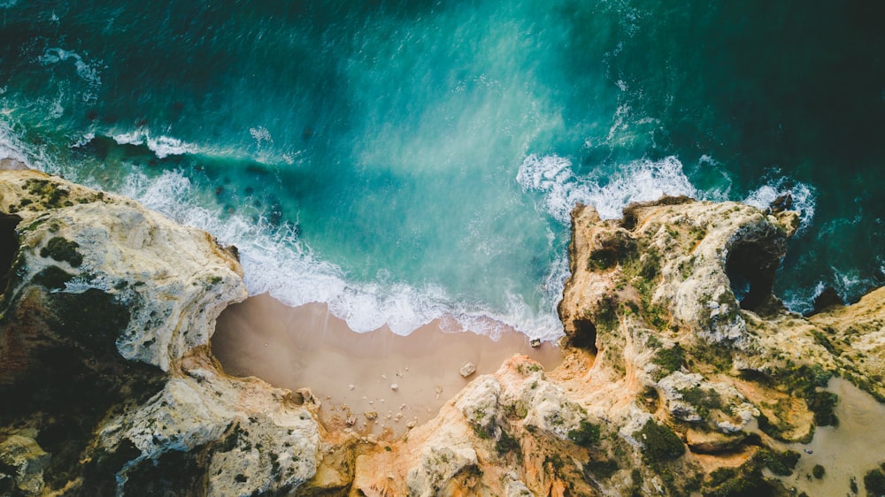 aerial photo of beach