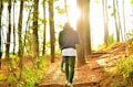 A person wearing a dark hoodie and green pants walks along a sunlit path through a forest. The scene is bathed in warm, golden sunlight filtering through tall trees. The pathway is surrounded by greenery and the forest floor is covered with leaves.