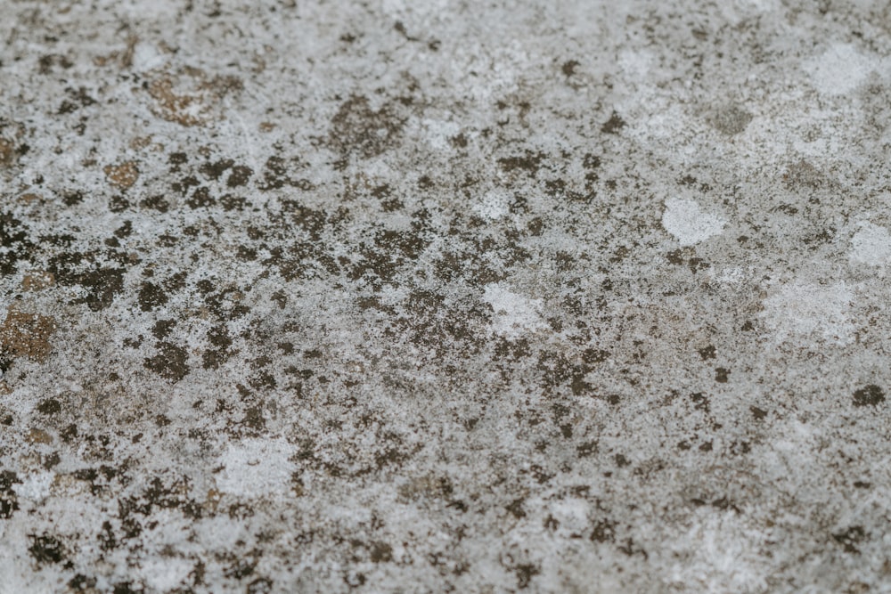 a close up of a cement surface with brown and white speckles