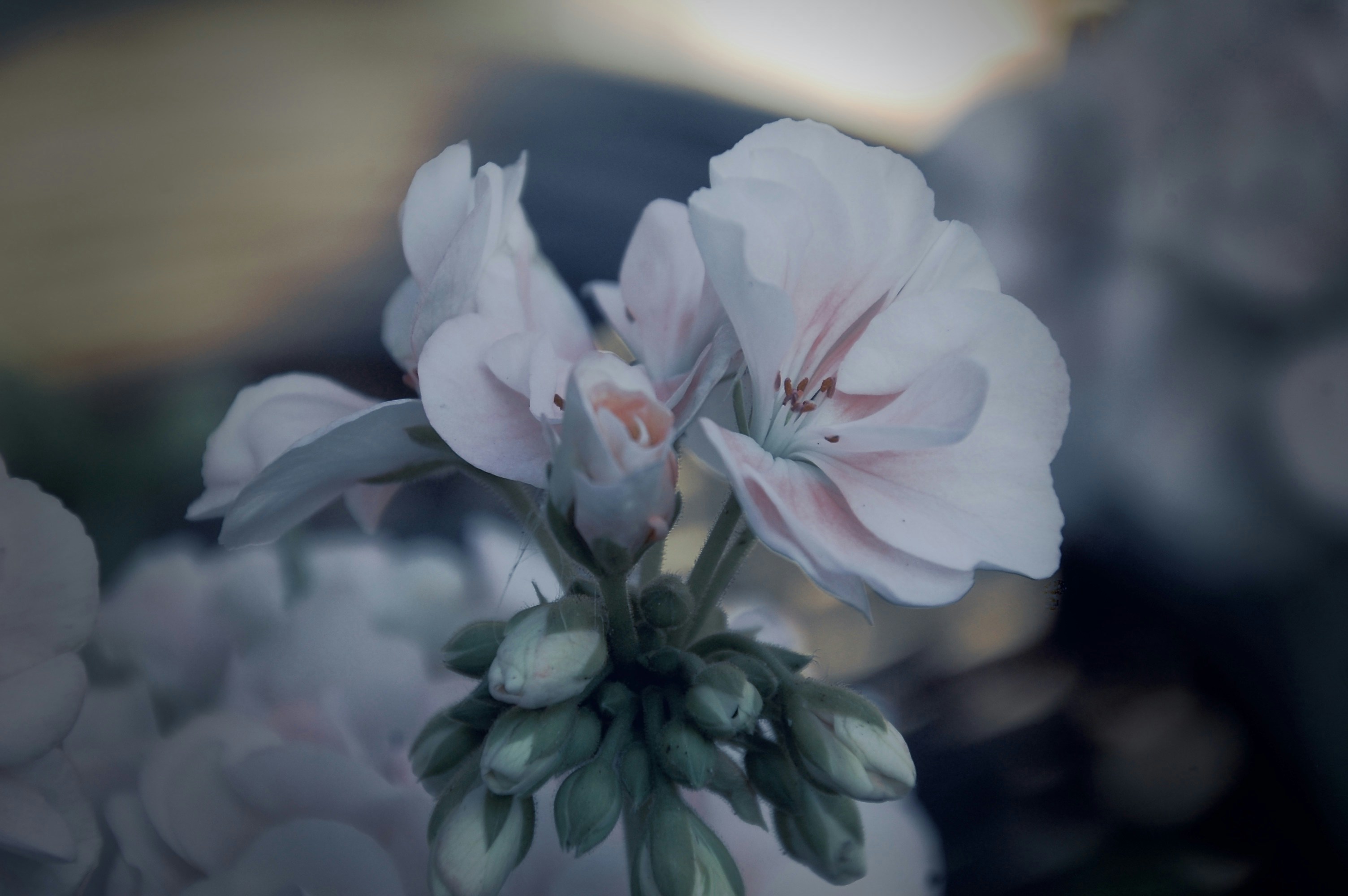 Photo by hanne97500338