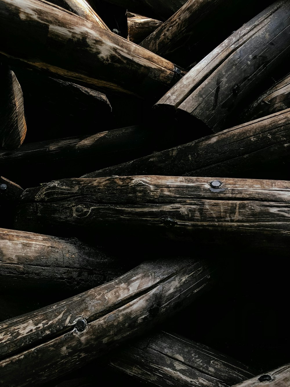 focus photo of brown firewood