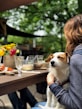 dog on woman's lap in front of dining table