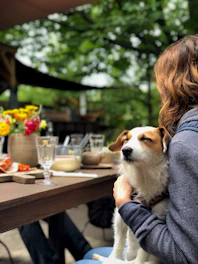 dog on woman's lap in front of dining table