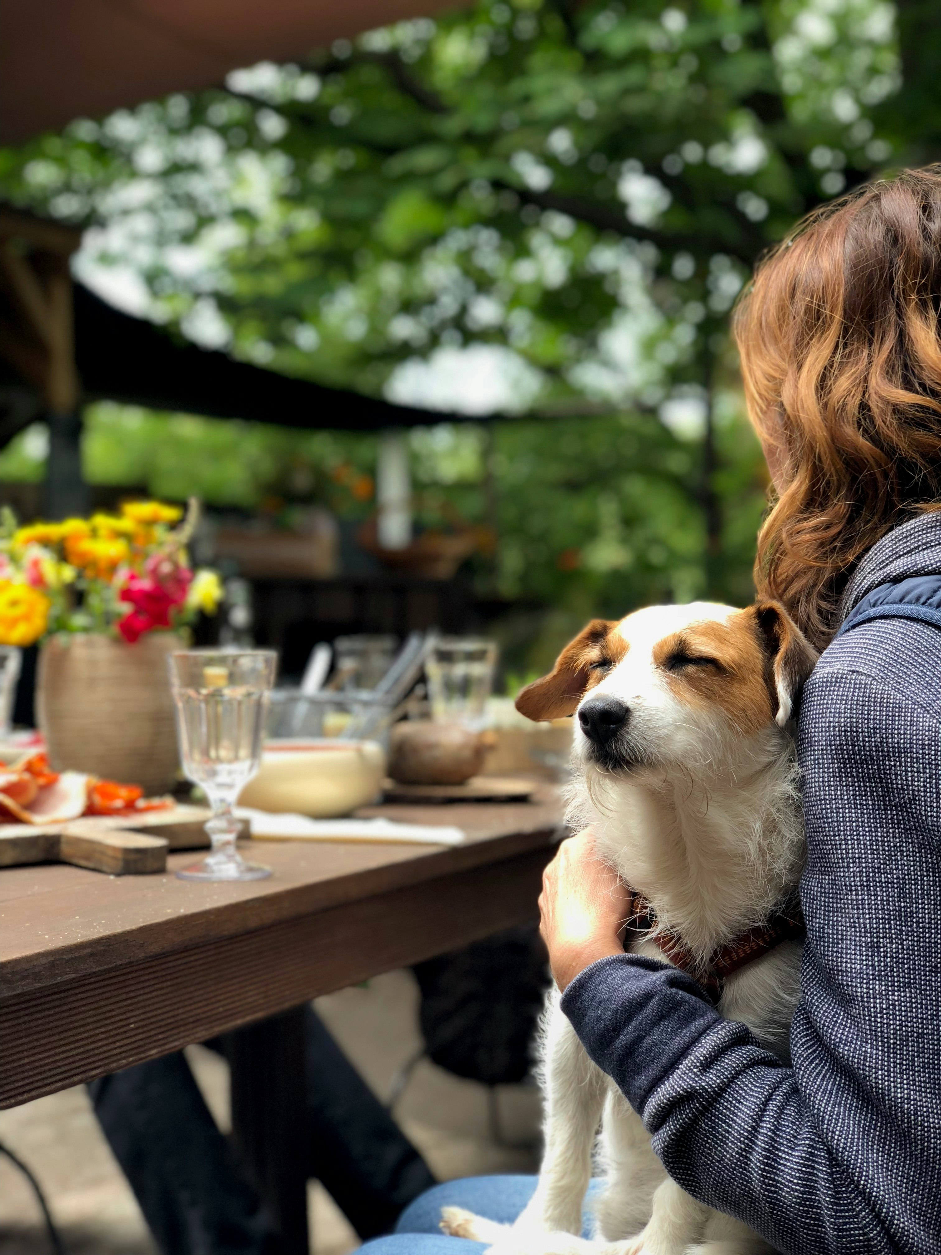A woman sitting at a picnic table with a terrier type dog in her lap