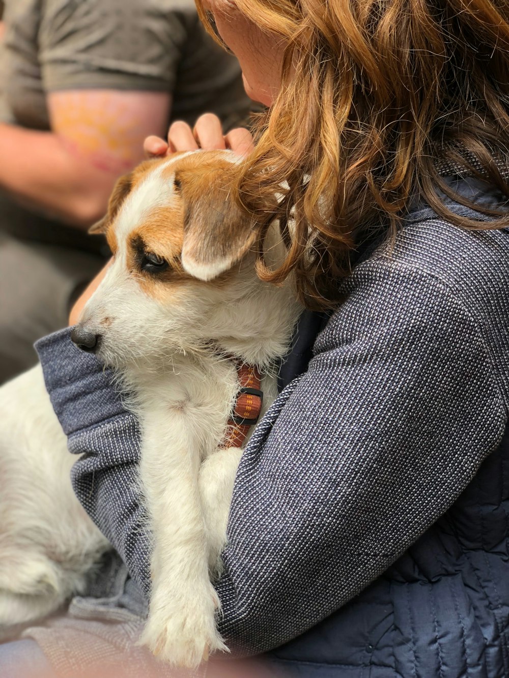 Donna che trasporta il cane bianco e marrone