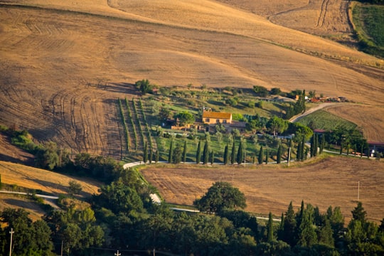 Pienza things to do in Gallina