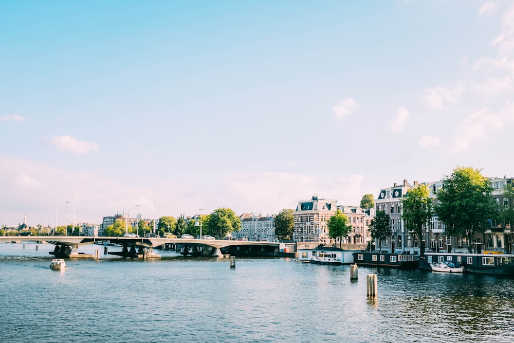 buildings and bridge near body of water