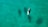 A group of dolphins swims elegantly through clear turquoise water, with one dolphin notably surfacing, revealing its sleek body and dorsal fin.
