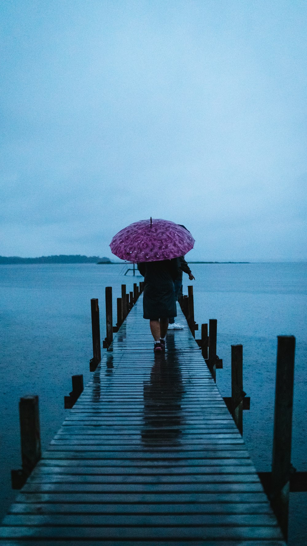 person carrying umbrella walking on dock