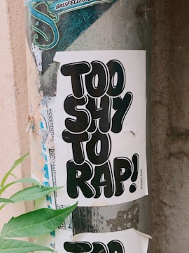 A weathered poster with bold black lettering reads 'Too Shy To Rap!' pasted on a metal pole amidst peeling layers of old advertisements. Green leaves from a nearby plant partially cover the bottom of the poster.