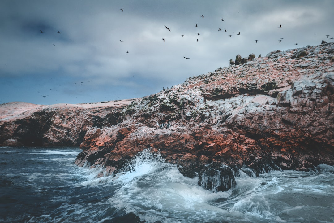 Shore photo spot Islas Ballestas Peru