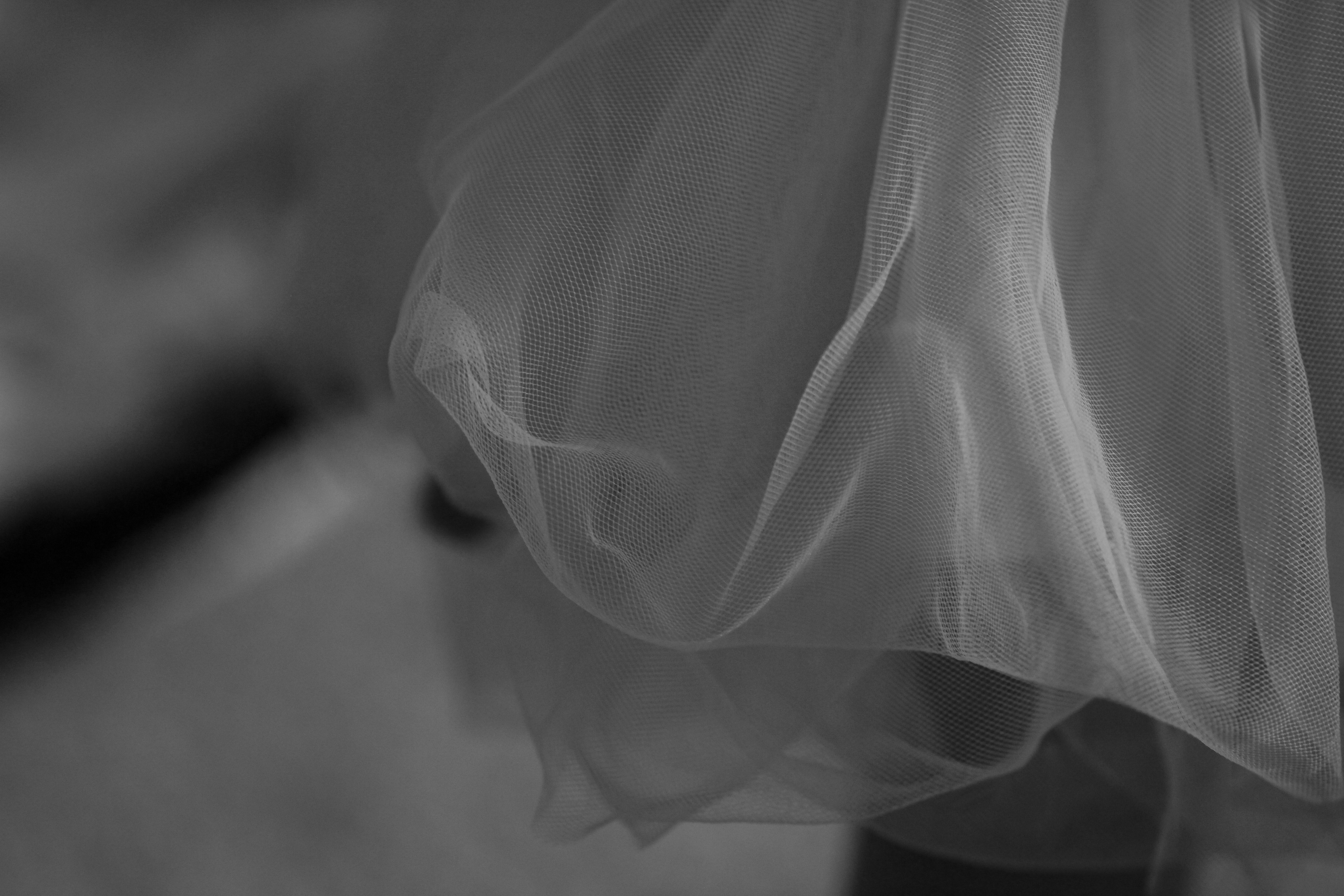 tulle 9 best free tulle, veil, clothing and apparel photos on Unsplash