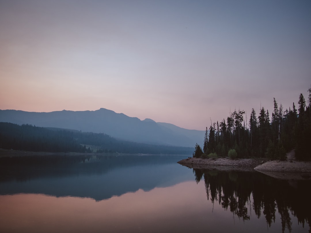 green pine tree forest beside body of water, Hyalite Lake