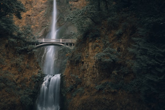 waterfalls during daytime in Oregon United States