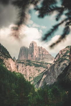 italy forest adventure