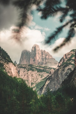 italy forest adventure