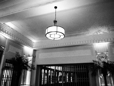 A black and white image of an elegant interior space with a classic ceiling and a central vintage-style hanging lamp. Decorative molding lines the ceilings and walls, complemented by curtains and tall ornamental plants. The lighting casts intricate shadows on the ceiling.