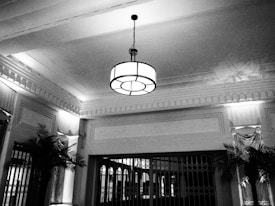 A black and white image of an elegant interior space with a classic ceiling and a central vintage-style hanging lamp. Decorative molding lines the ceilings and walls, complemented by curtains and tall ornamental plants. The lighting casts intricate shadows on the ceiling.