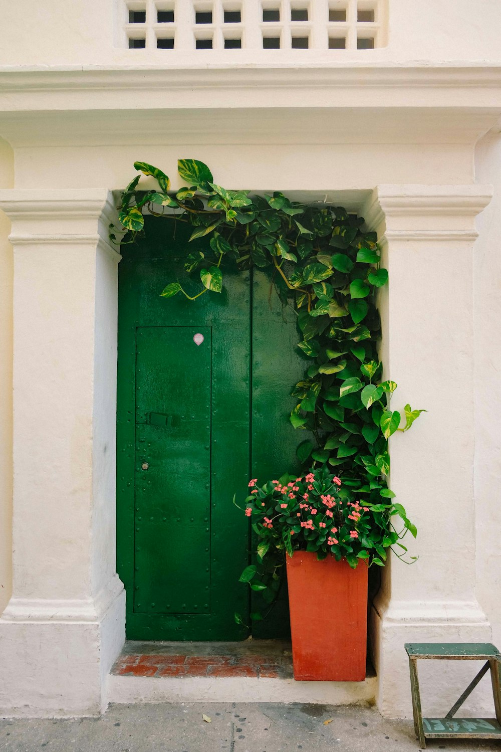 Puerta verde con planta de hiedra verde