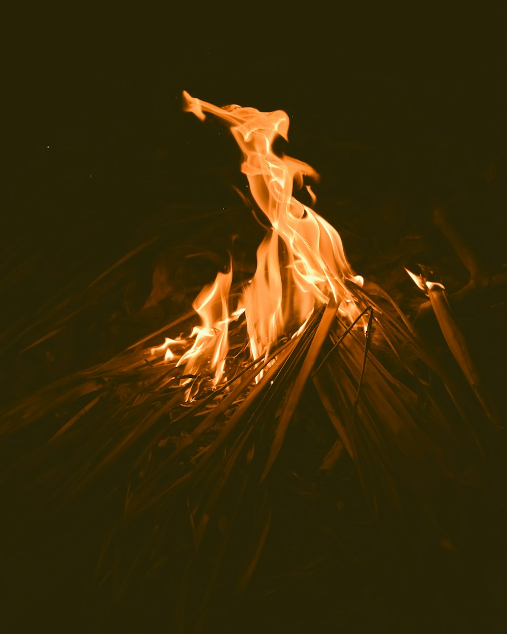 bonfire during night