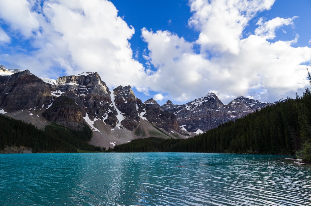 landscape photo of body of water surrounded by trees and mountains