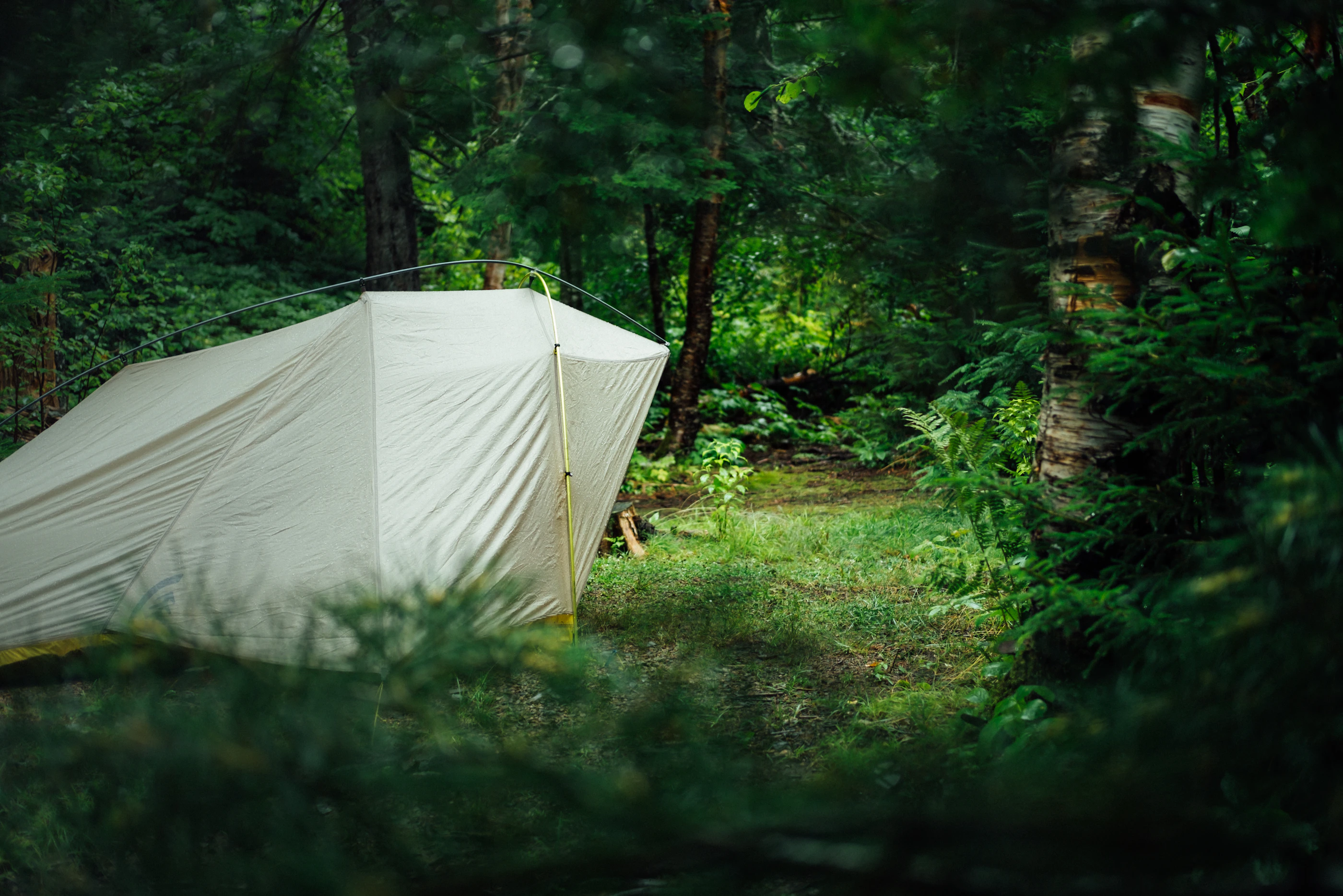 A camping tent pitched in a green forest clearing