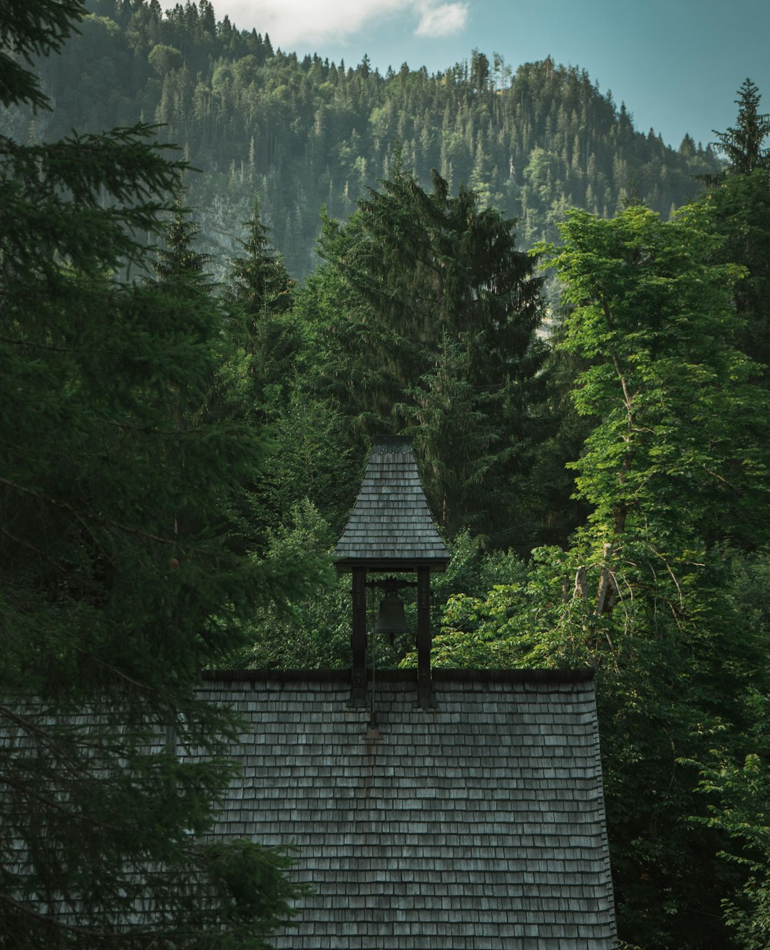 Forest photo spot Breitachklamm Kochel am See