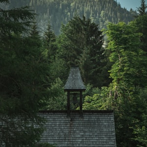gray house beside green leafed trees