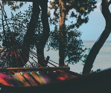 hammock hanged on tree