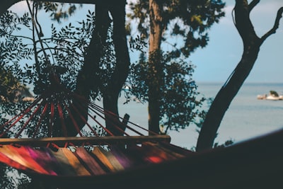 hammock hanged on tree chill google meet background