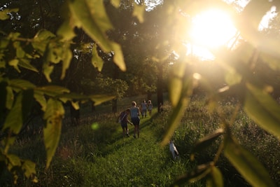 people surrounded by trees