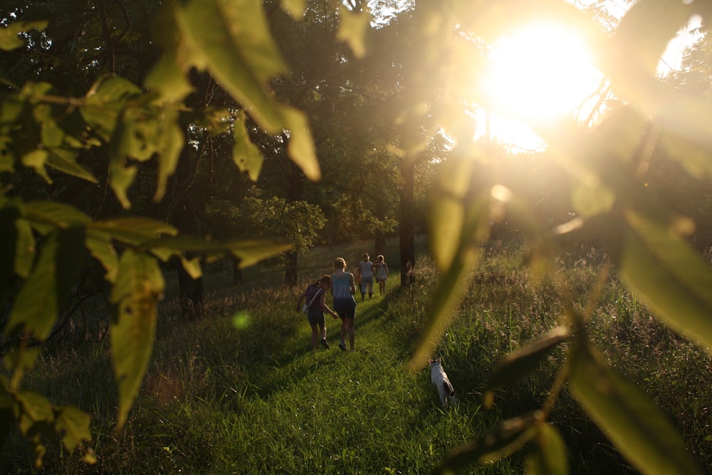 people surrounded by trees