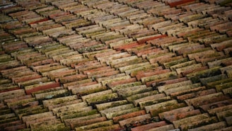 brown roof bricks at daytime