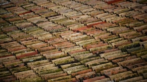 brown roof bricks at daytime