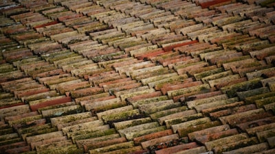 brown roof bricks at daytime