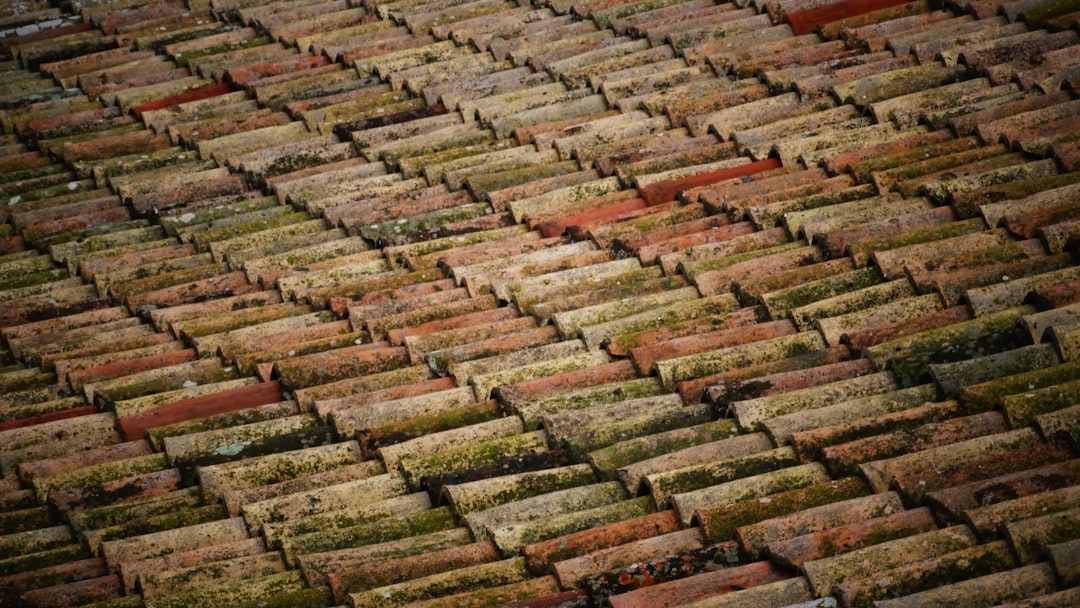 brown roof bricks at daytime, A roof that is diverse in colors