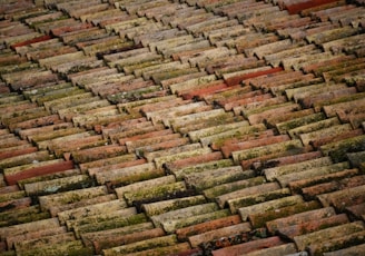 brown roof bricks at daytime