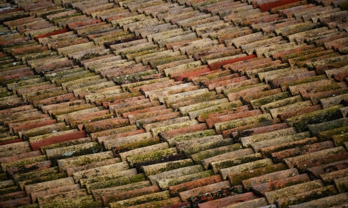 brown roof bricks at daytime