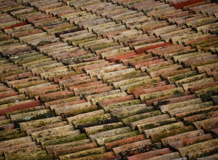 brown roof bricks at daytime