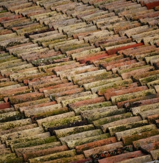 brown roof bricks at daytime