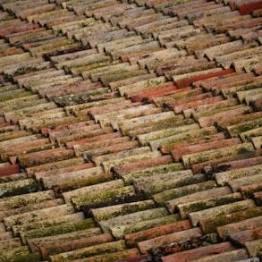 brown roof bricks at daytime